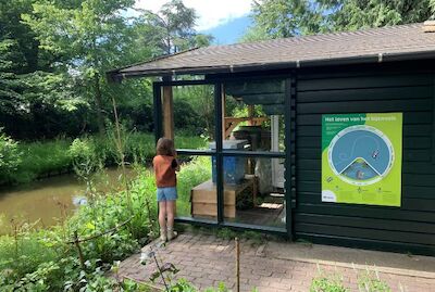 De bijenstal is open