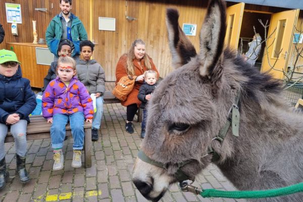 Blije Staarten Feest