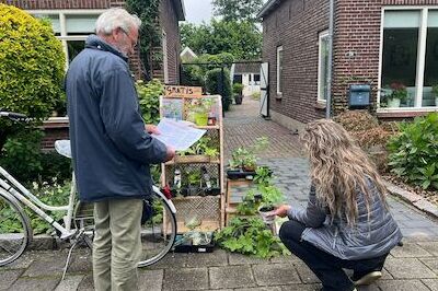 Groene Buur stekjes ruilen