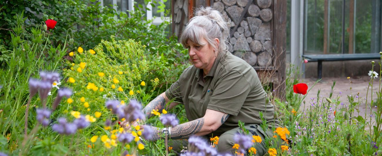 Rachel aan het werk in de tuin