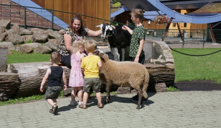 knuffelen met de dieren bij weizigt