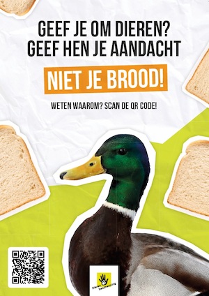 Geef eenden geen brood