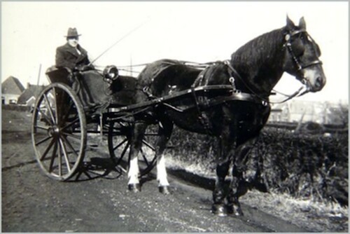 Een dogkar is een rijtuig met 2 wielen getrokken door 1 paard