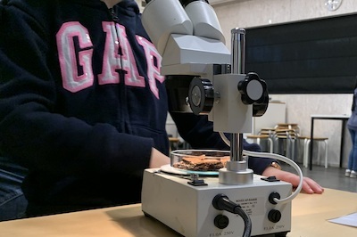 Kinderen kijken door een microscoop