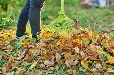tuin winterklaar maken