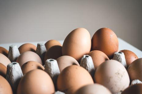 Kippen en eieren beschermen tegen bloedluis zonder fipronil