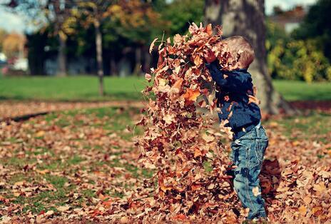 Herfst