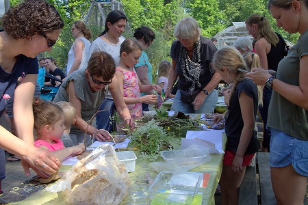 waterspelen bij weizigt