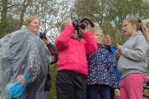 Spring eens op groen! door Jeroen Niemeijer