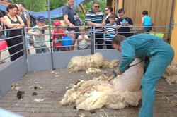 Boerderijmiddag