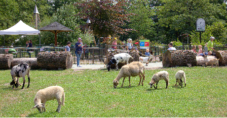 stadsboerderij