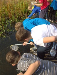 Foto door Jeroen Niemeijer - Waterdiertjes