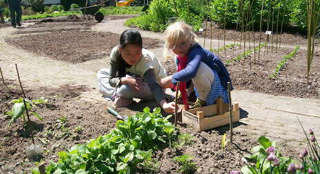 Scharrelkids Moestuin