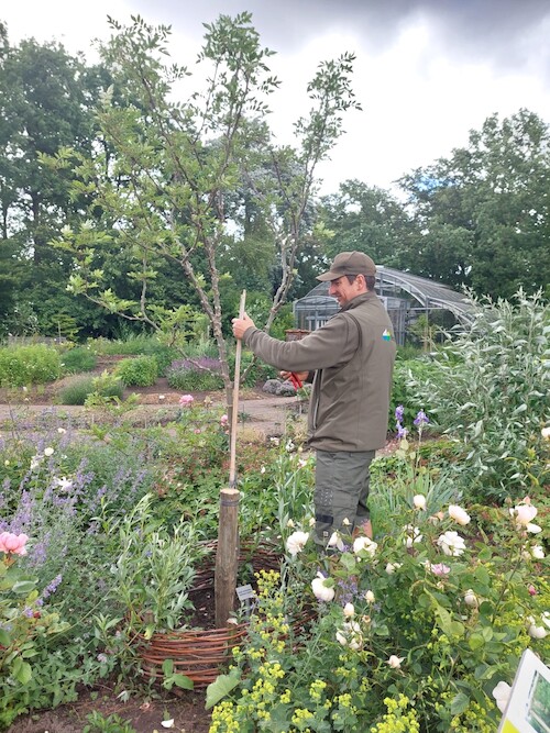 Marc aan het werk in de tuin