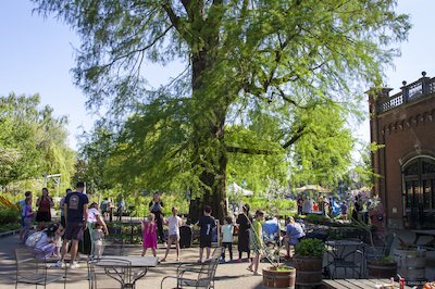 Terras Koetshuis Weizigt