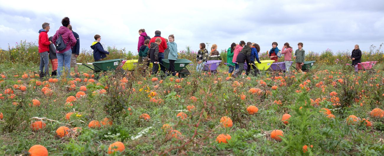 Kinderen op bezoek bij de boer