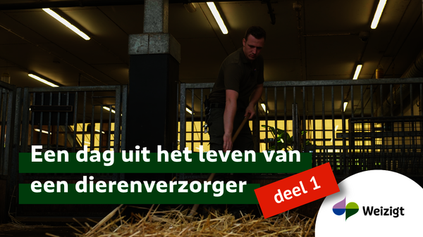 Een dag uit het leven van een dierenverzorger (deel 1)