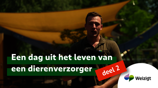 Een dag uit het leven van een dierenverzorger (deel 2)