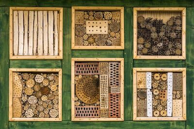 Insectenhotel