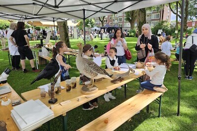 Festival der Verwondering