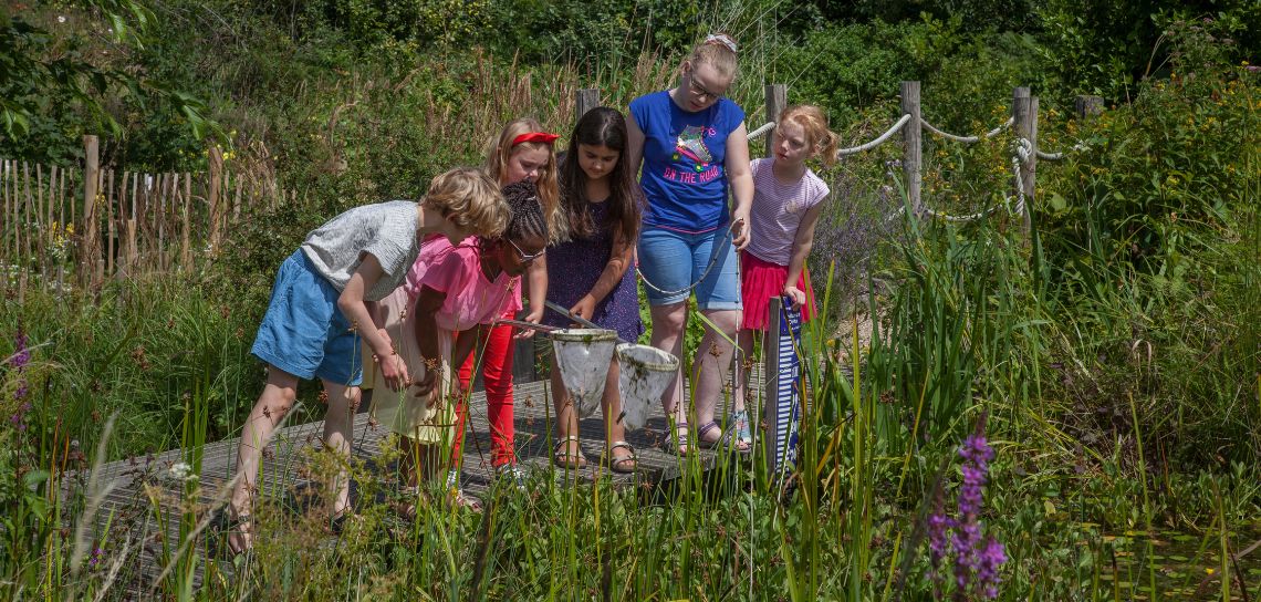 Kinderen op zoek naar waterdiertjes