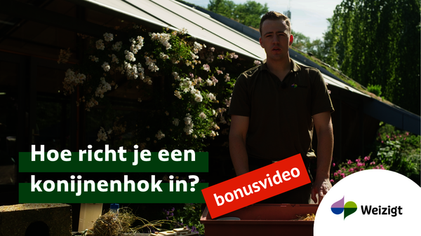 Hoe richt je een konijnenhok in?
