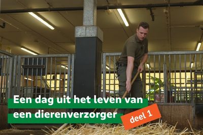 Een dag uit het leven van een dierenverzorger
