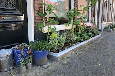 Geveltuintje